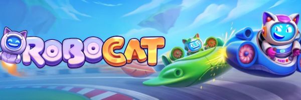 Ekran kasjera i historii wypłat w Robocat Casino